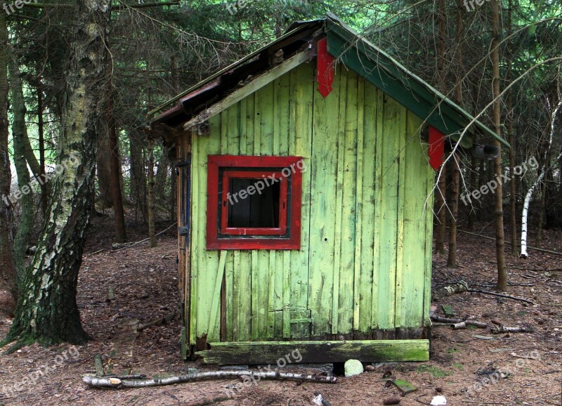 Hut Forest Log Cabin Forest Lodge Old