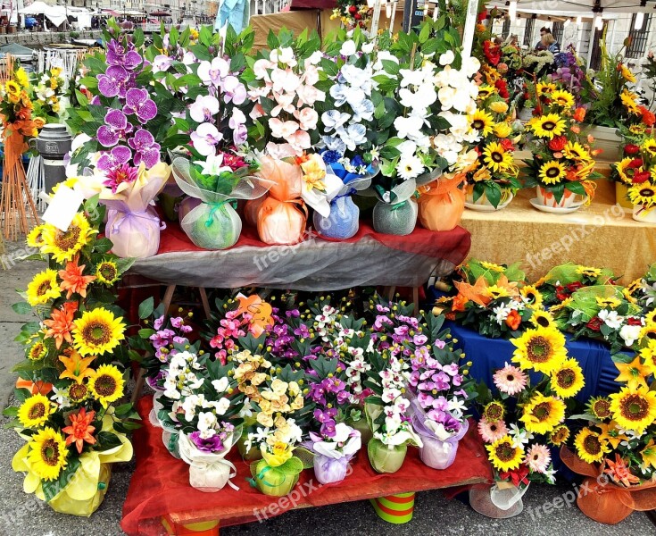 Flower Composition Market Stall Nature