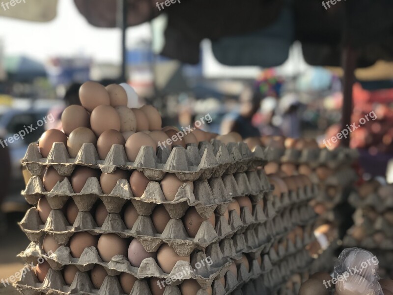 Eggs Market Crate Chicken Protein