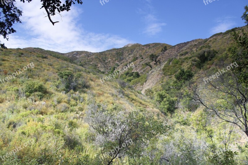 Big Sur California Nature Landscape Usa