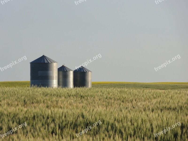 Field Grain Wheat Silo Farm