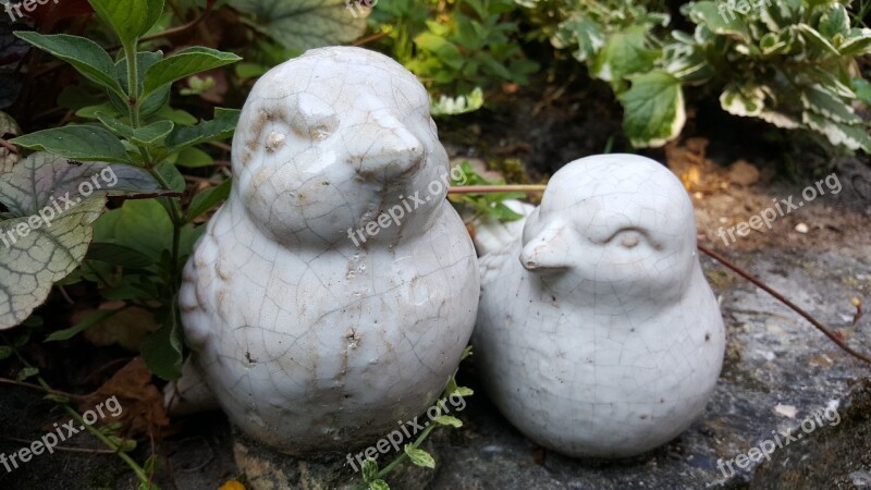 Figurine Garden Birds Outdoor Free Photos