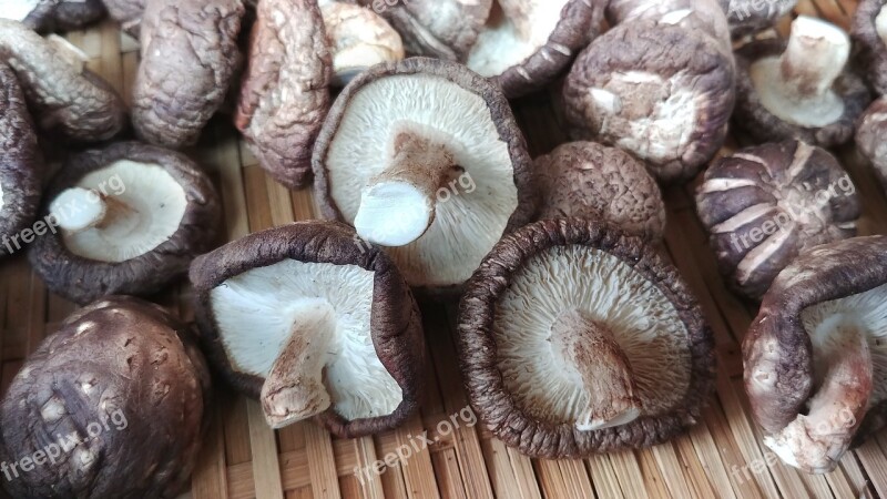 Mushroom Cooking Cooking Ingredients Sejong City Korea