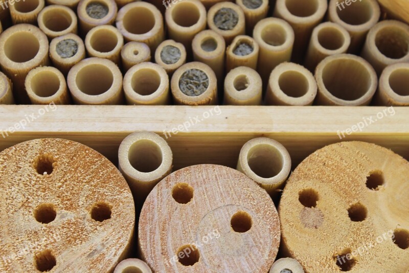 Wood Insect Insect Hotel Insect House Insect Box