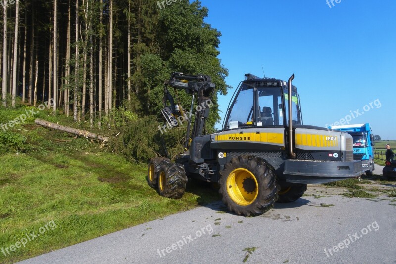 Cleanup Tree Uprooted Road Locked