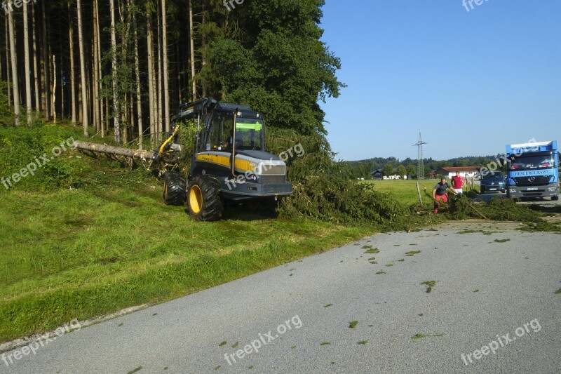 Cleanup Tree Uprooted Road Locked