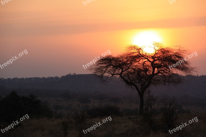 Tanzania Savannah Sunset Free Photos