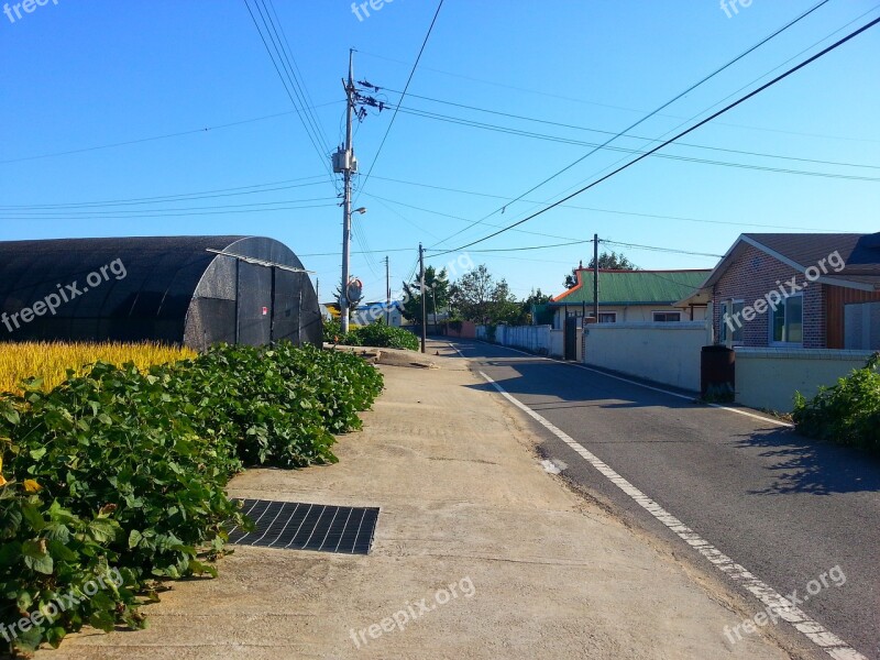 Cottage Nonsan Country Road Free Photos