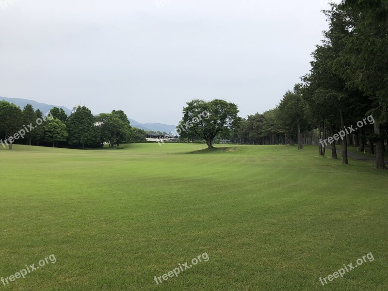 Golf Natural Landscape Green Fairway