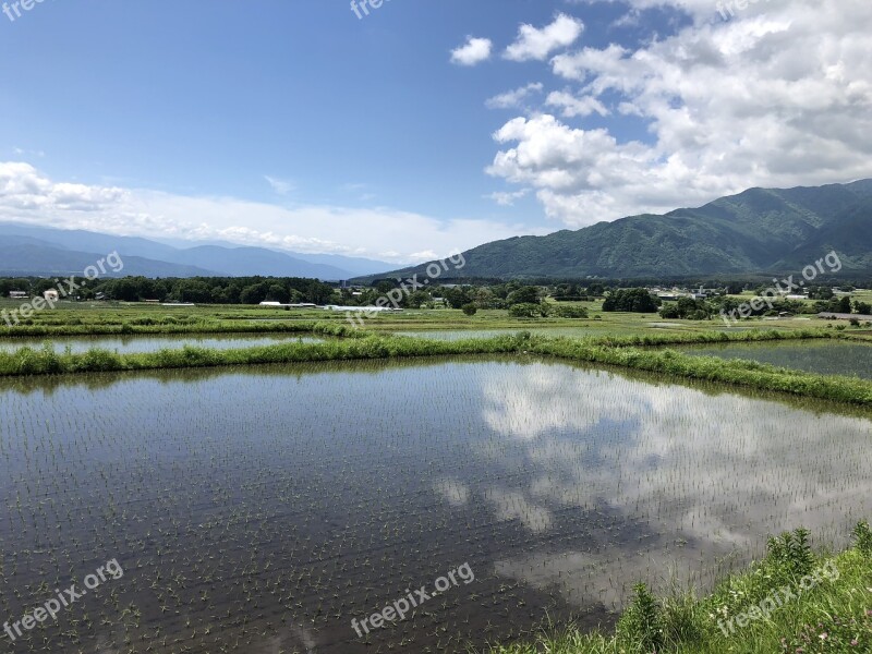 Yamada's Rice Fields Natural Landscape Paddy Field Outdoors