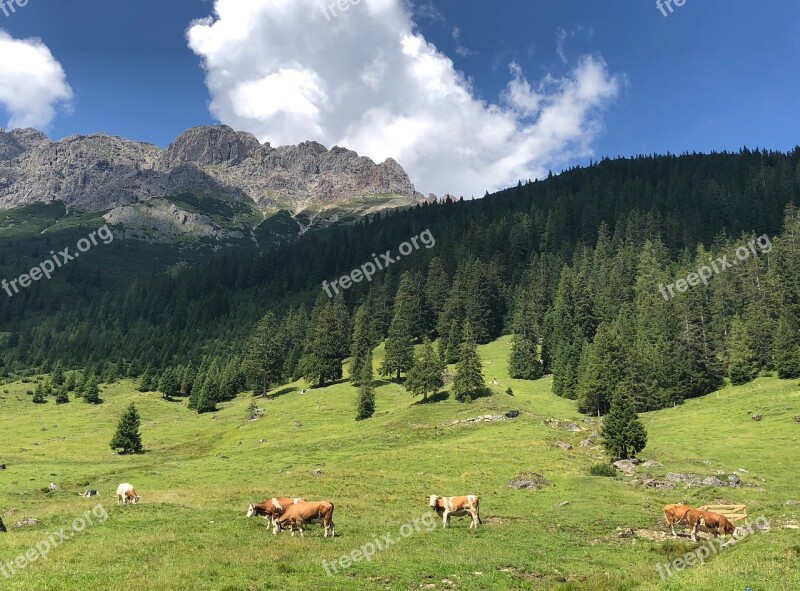 Alps Panorama Nature Mountains View