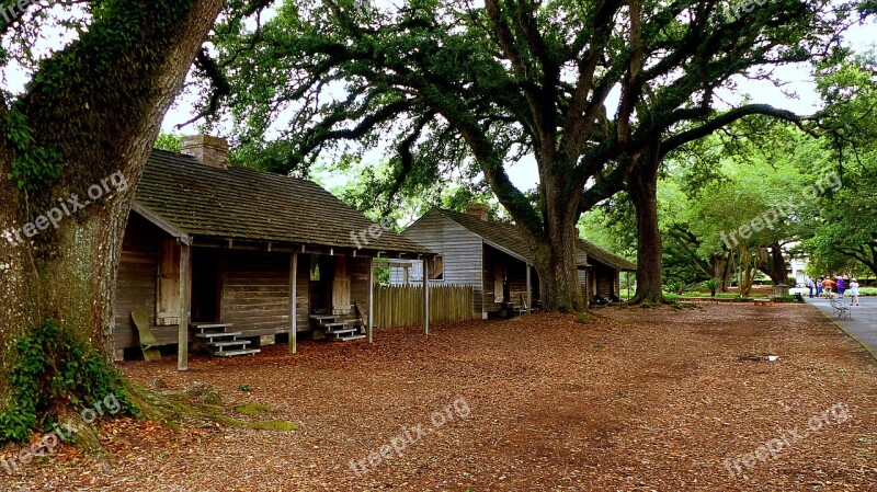 Cabins Slaves Trees Foliage Landscape