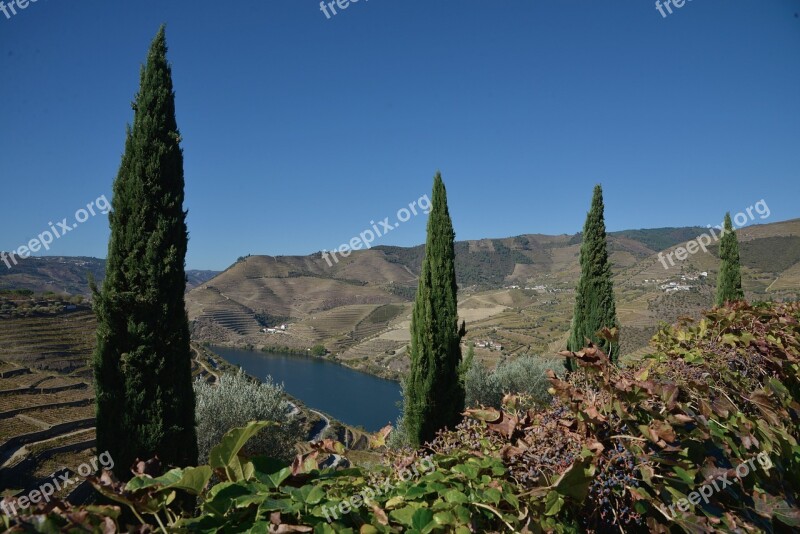 Portugal Douro Landscape River Vineyards