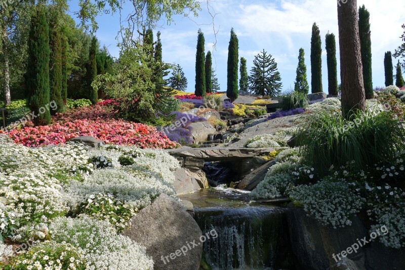 Garden Flowers Summer Flora Flower Garden