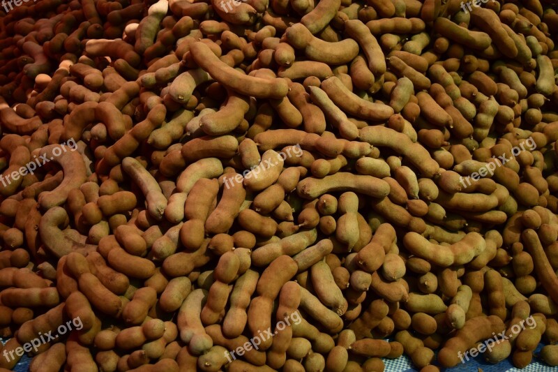 Tamarind Plant Vegetable Food Healthy