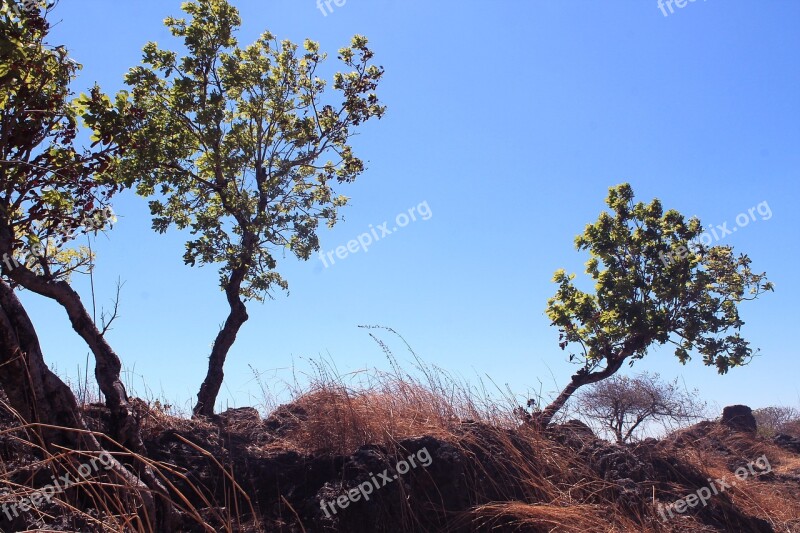 Blue The Sky Cloud Nature Color