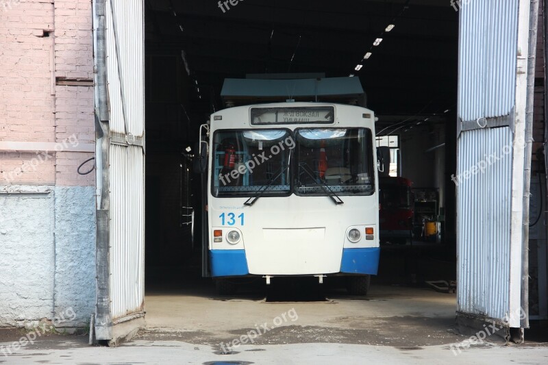 Trolley Bus Driver Route Transport Public Transport