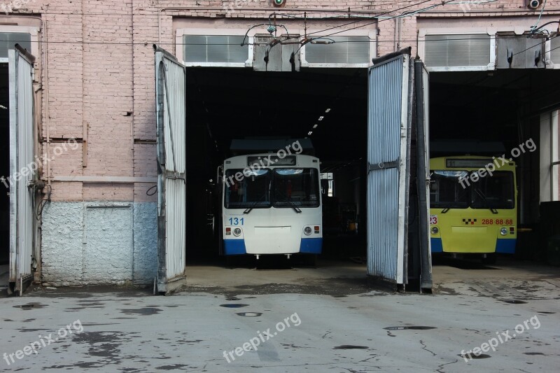 Trolley Bus Driver Route Transport Public Transport