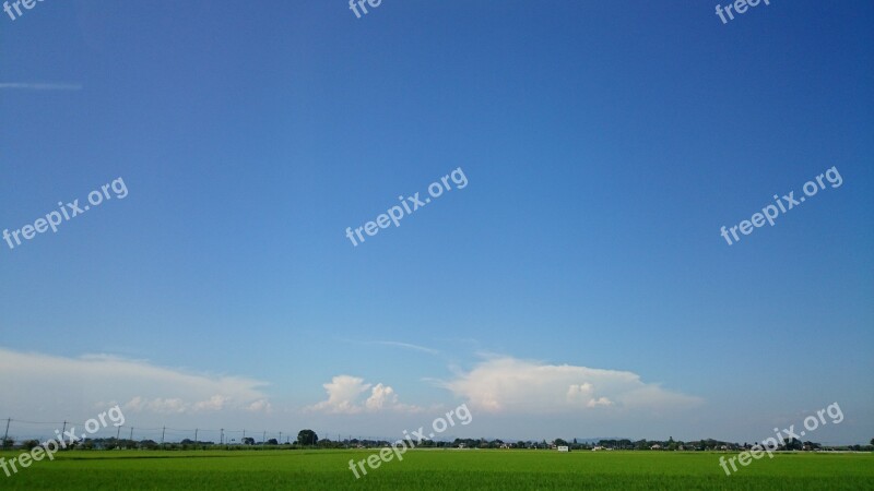 Horizon Natural Paddy Field Summer Sky