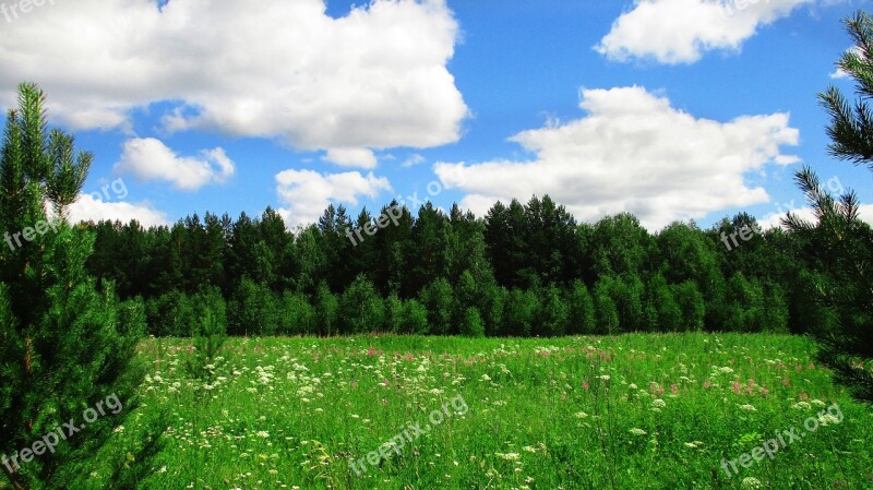 Landscape Field Forest Russia Ural