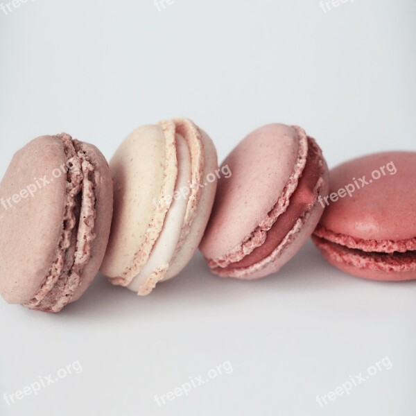 Sweet Dessert Delicious Sweet Dish Macarons