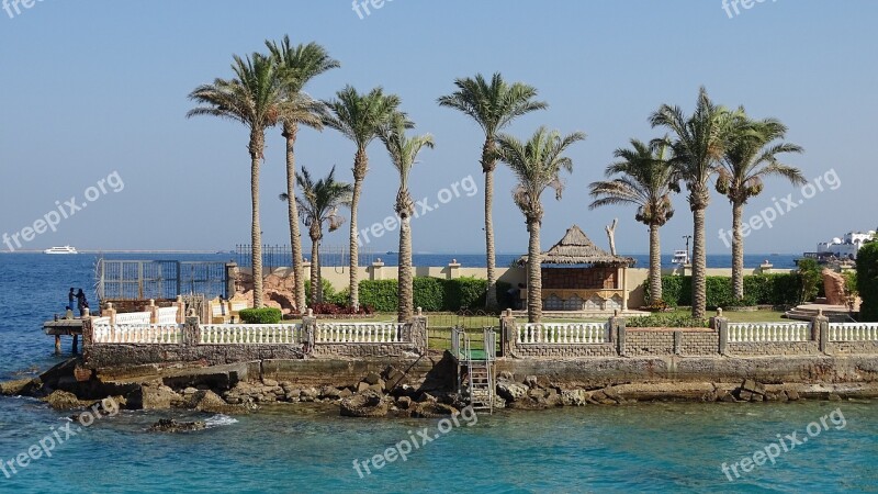 Hurghada Sea Palm Trees Egypt The Coast