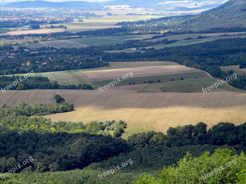 Light Shadow Landscape Nature Forest