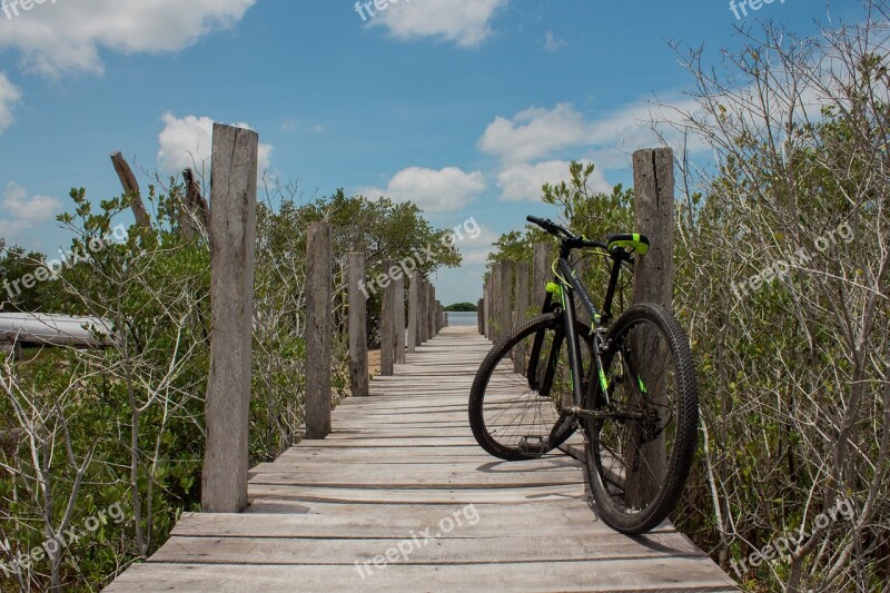 Nature Bicycle End Cycling Landscape