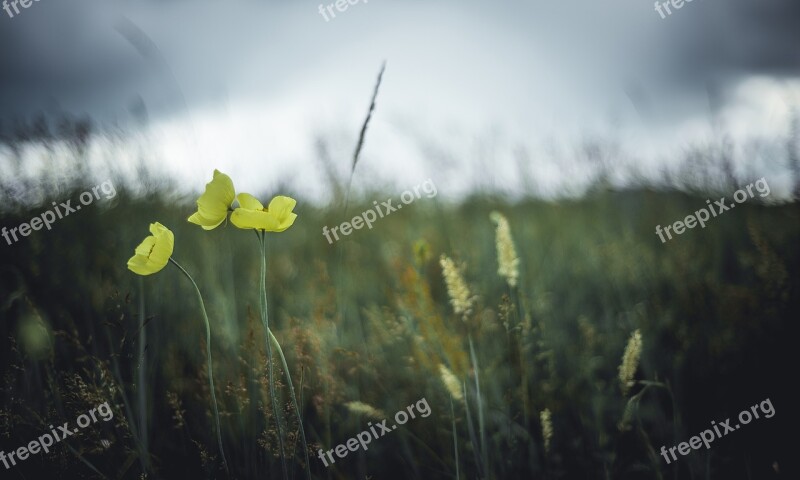 Nature Landscape Clouds Lake Green