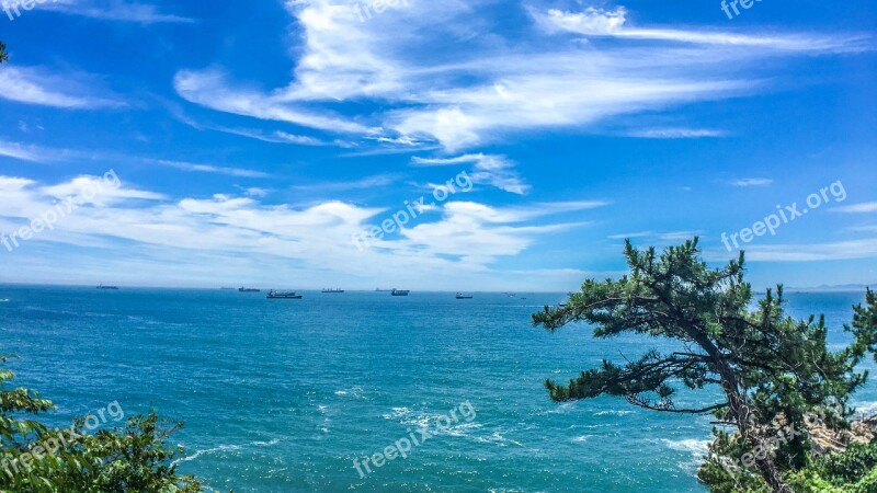 Sea Pine Sky Landscape Water