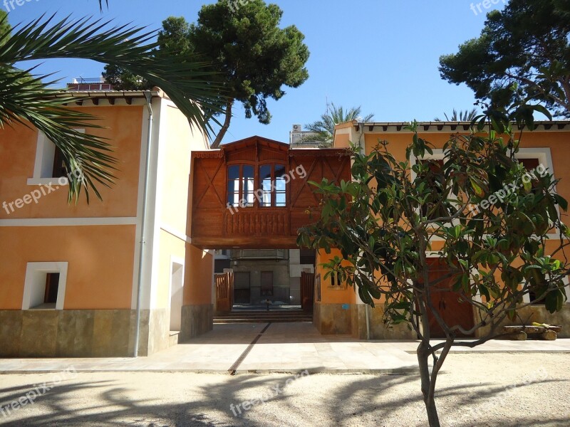 Elche Field Museum Palms Palma