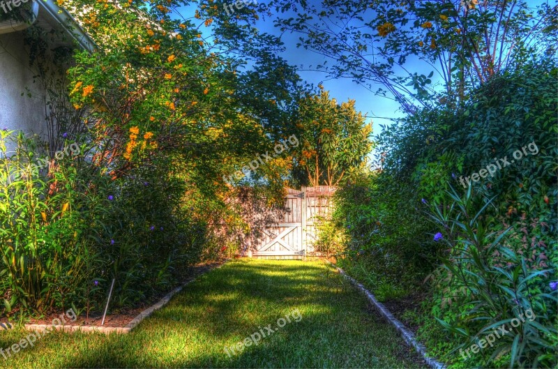 Garden Nature Gate Wooden Gate Flowers