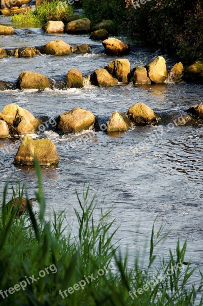 Bach Grass Sun Bank Stones