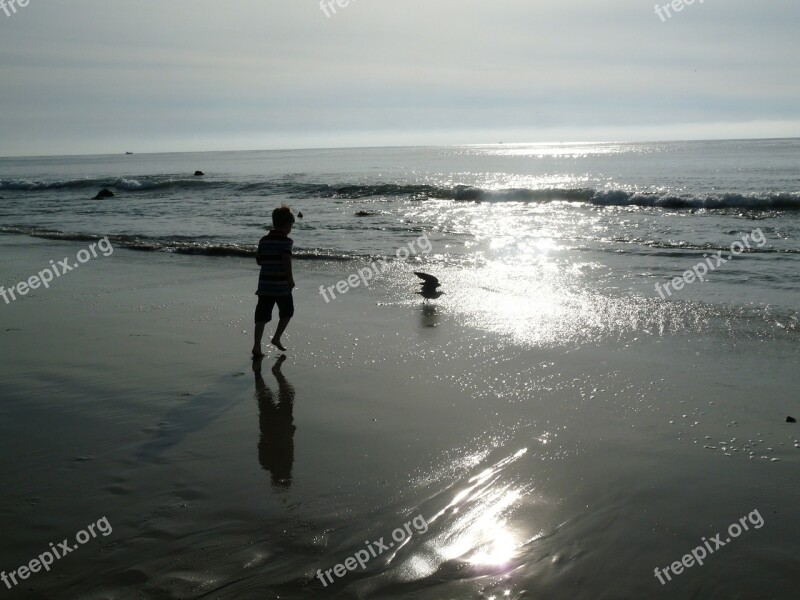 Carlsbad California Beach Seaside Sunset