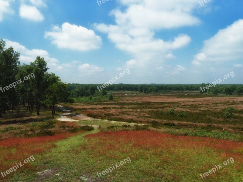 Netherlands Landscape Scenic Nature Outside