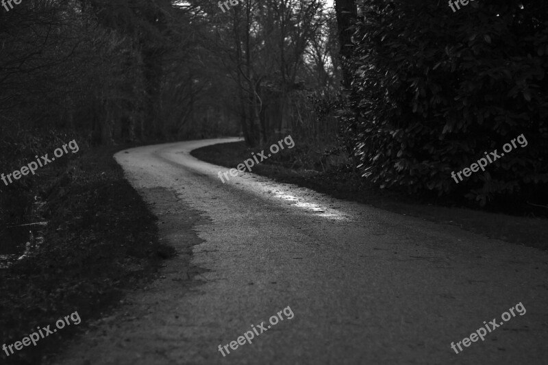 Rural Road Road Country Lane Country Road Black And White