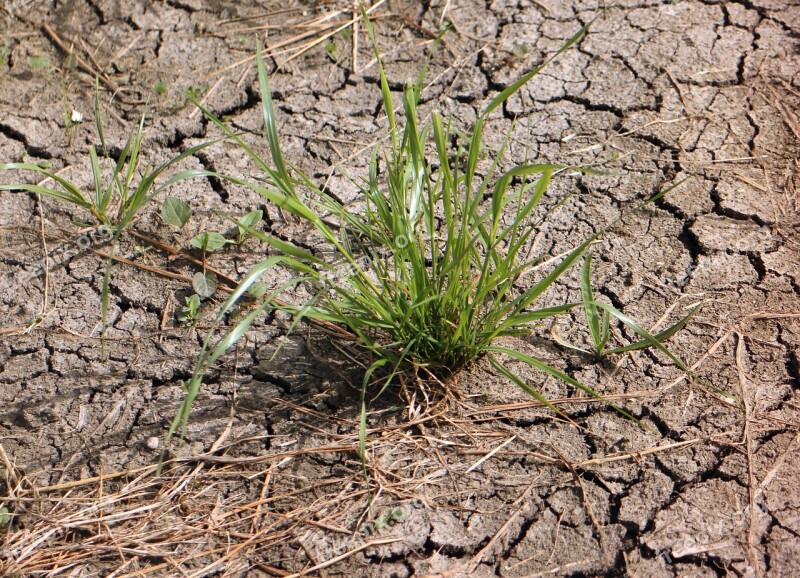 Ground Earth Drought Dehydrated Cracks