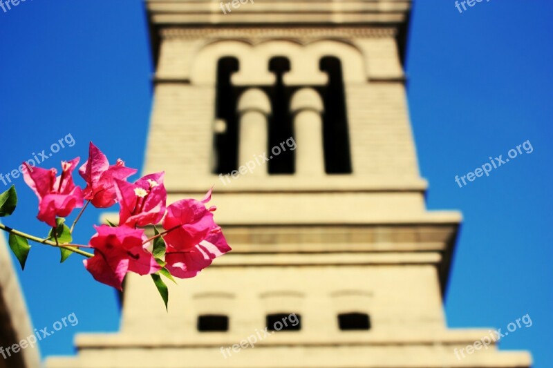 Torre Monument Medieval Tower Middle Ages Art