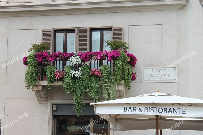 Rome Italy Piazza Navona Free Photos