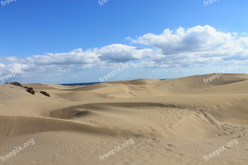 Gran Canaria Maspalomas Dunes Desert Sand Dunes