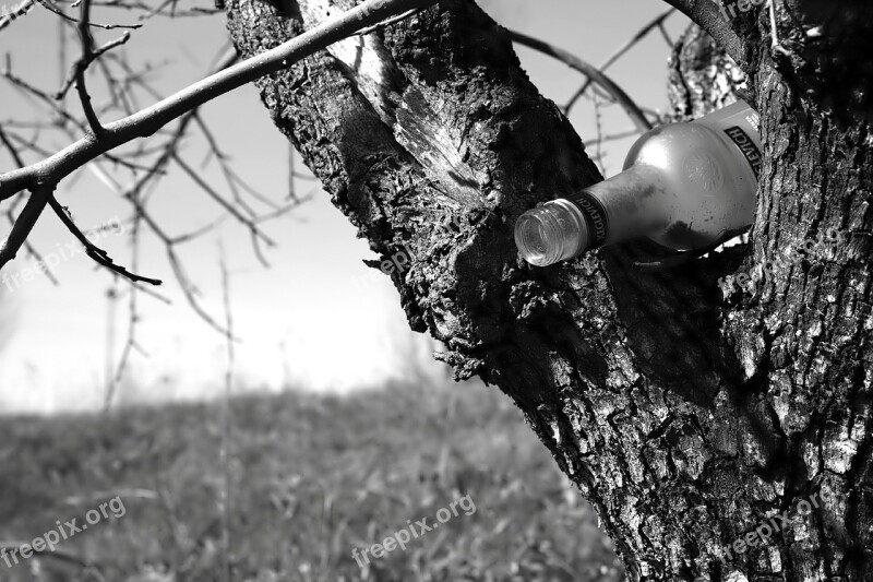 Vodka Bottle Glass Tree Bark