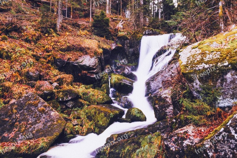 Waterfall Stream Forest Nature Flow