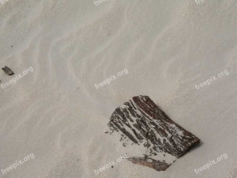 Drift Wood Sand Pattern Beach Sand Ripples Wind Pattern