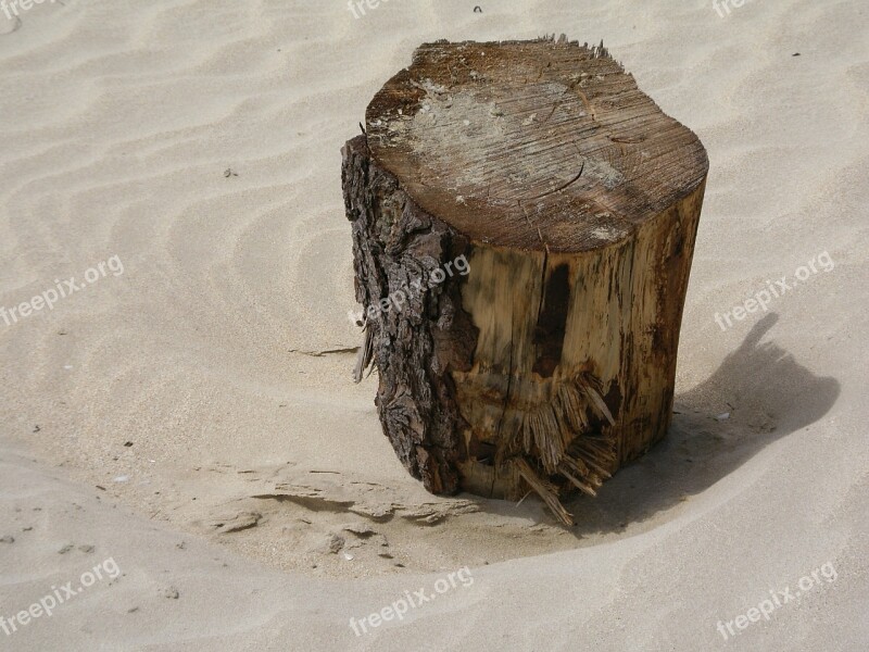 Flotsam Jetsam Beach Sand Drift Wood