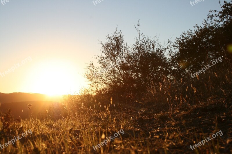 Sunset Sky Golden Sunset Sun Prairie