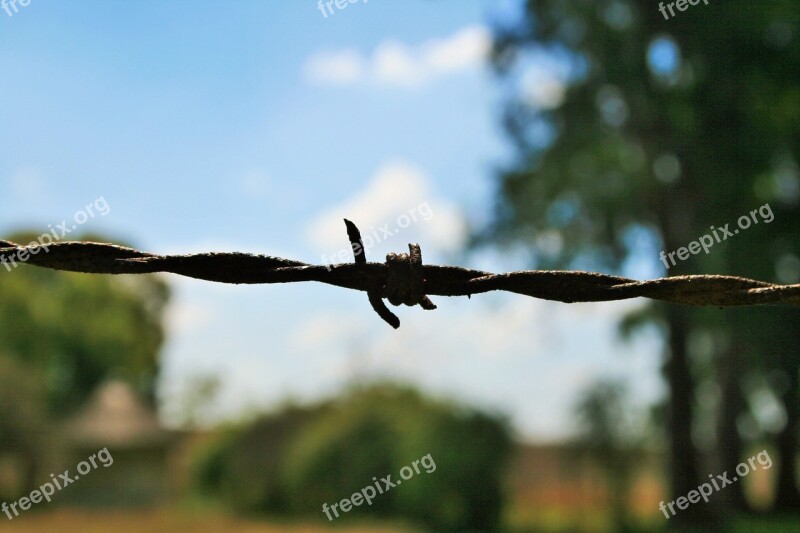 Barbed Wire Wire Barb Twisted Barbed