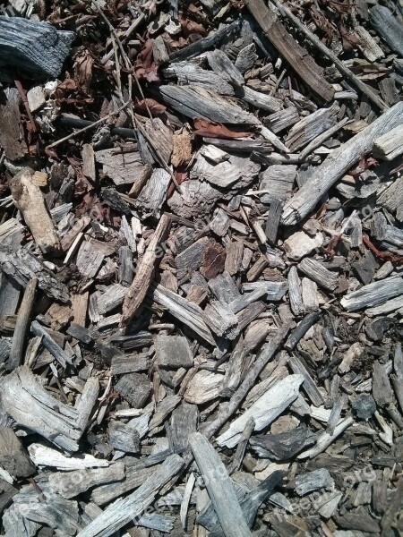 Wood Chips Wood Bark Free Photos