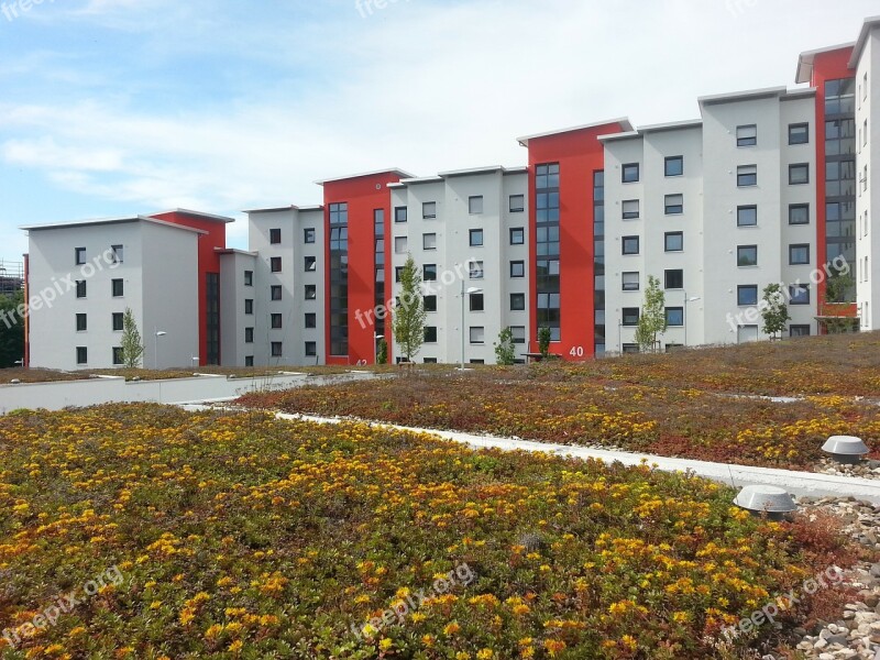 Rehabilitation New Building Green Roof Red White