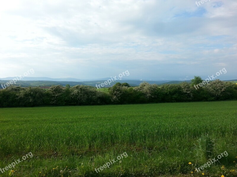 Landscape Meadow Hedge Wide Nature