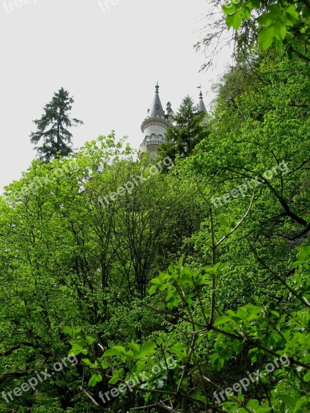 Fairy Castle Kristin Poellatschlucht Rock Spruce